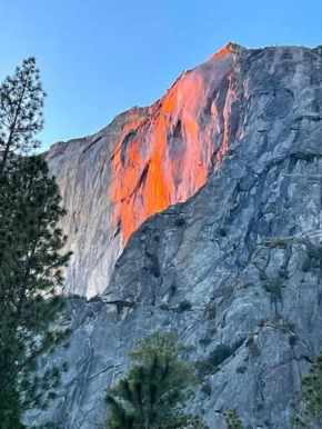 Inside Yosemite Park-Cozy Corner Unit-Sleeps 2